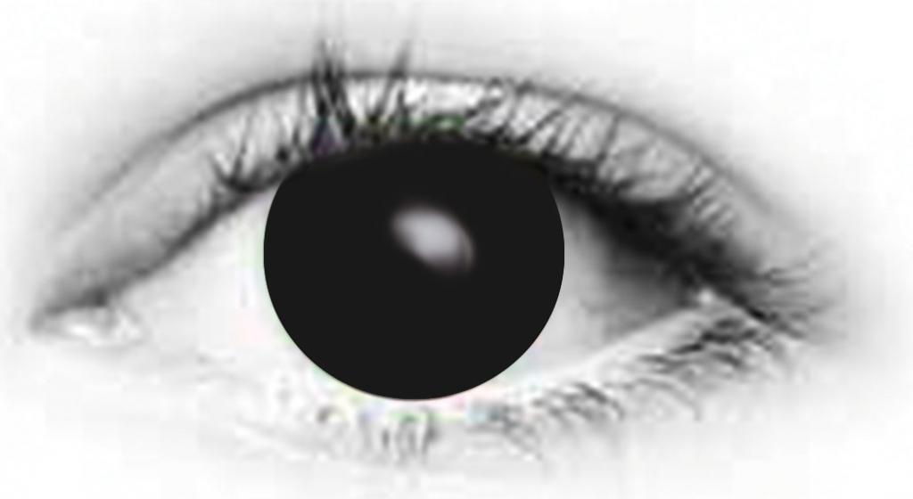 Vente de dguisements, costumes, chapeaux, masques, lentilles ...